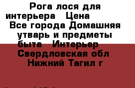 Рога лося для интерьера › Цена ­ 3 300 - Все города Домашняя утварь и предметы быта » Интерьер   . Свердловская обл.,Нижний Тагил г.